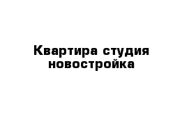 Квартира студия новостройка